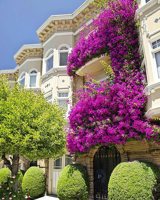 San Francisco Califórnia 