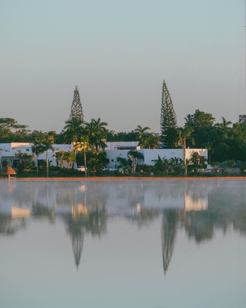 El reflejo de la vegetación en el lago