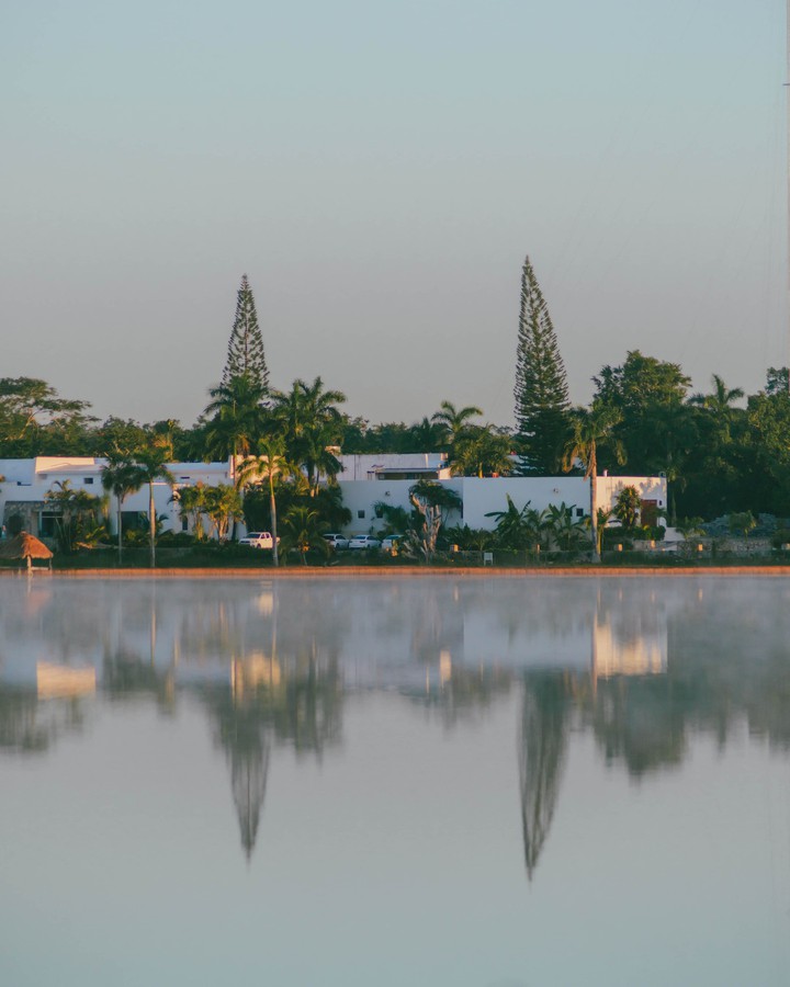 El reflejo de la vegetación  en el lago