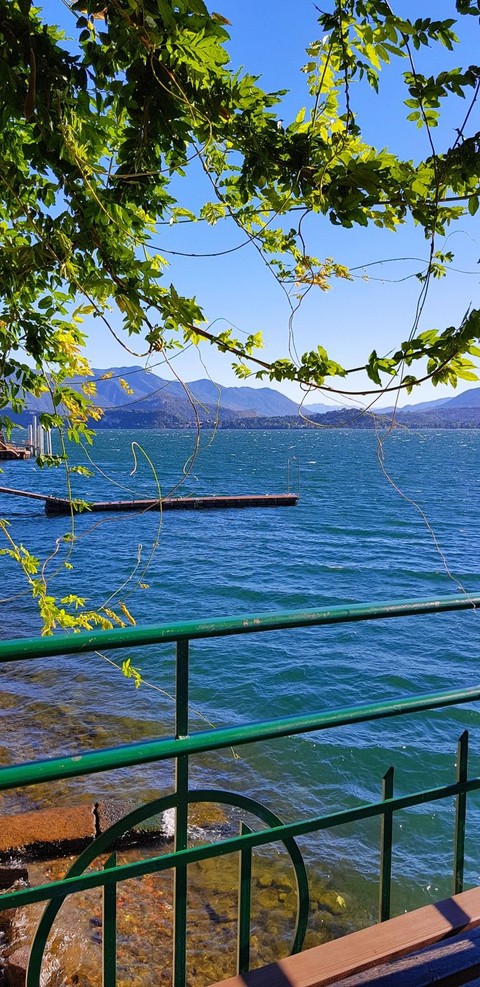 Relaxing view