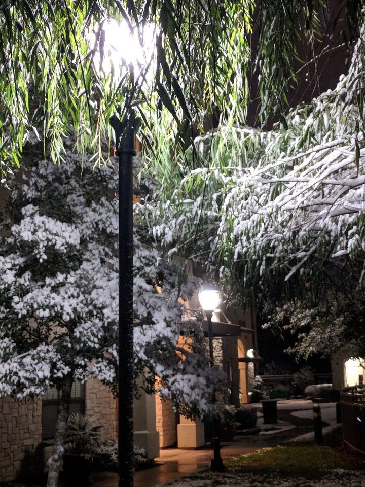 Winter in Texas