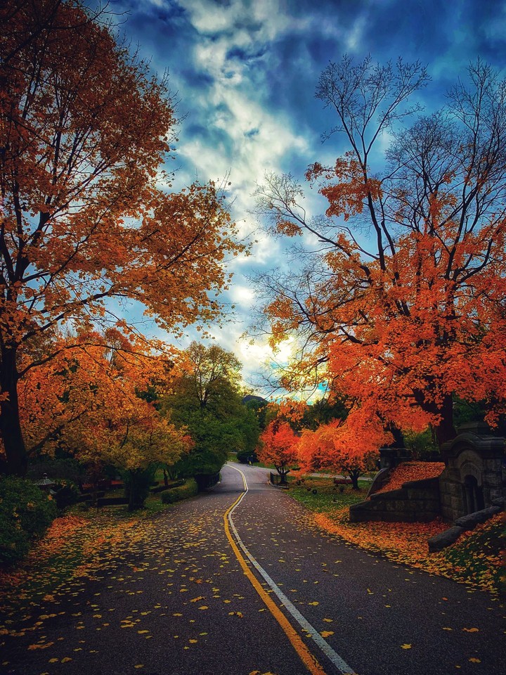All about fall