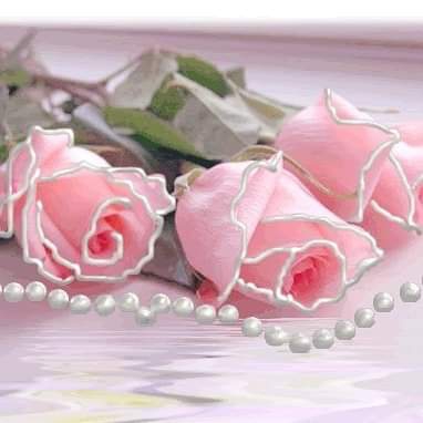 rosa