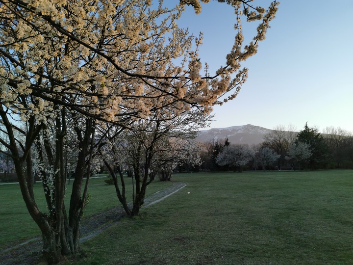 vitosha