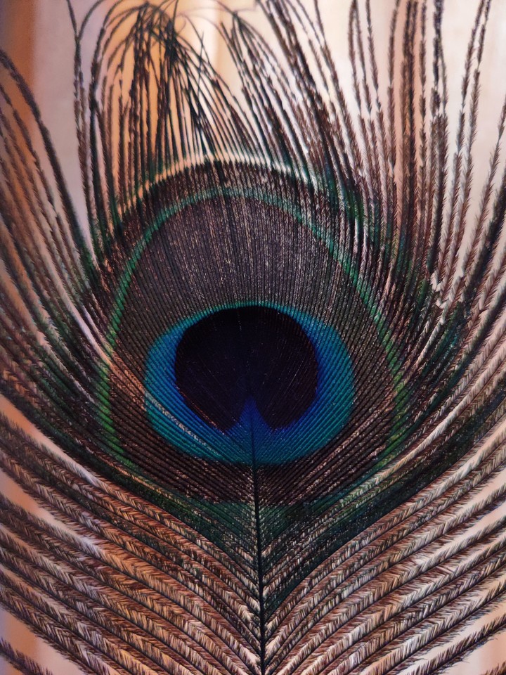 Feather Eye