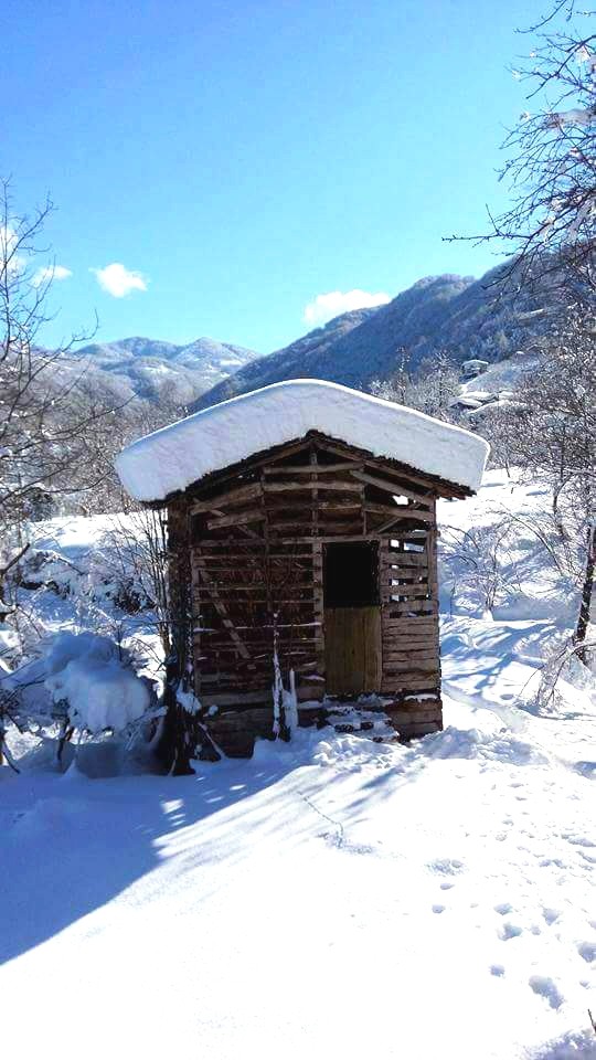 ❄