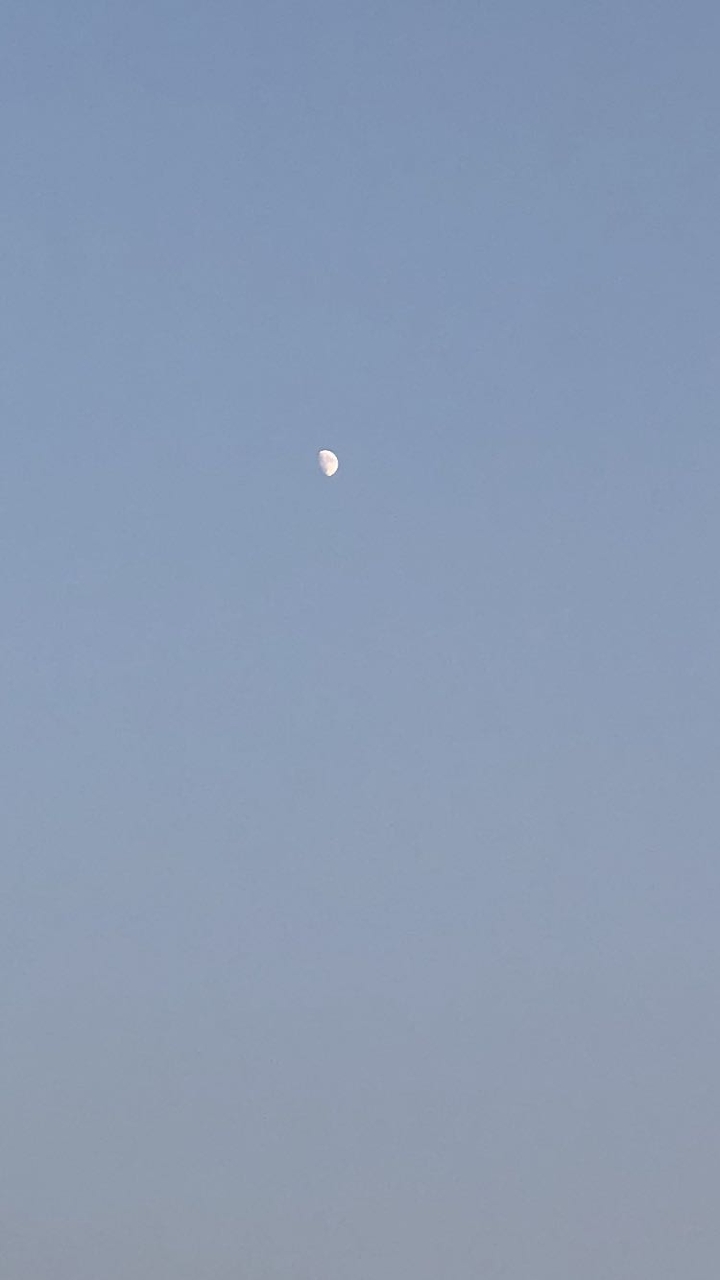 daytime moon