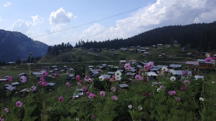 doğa