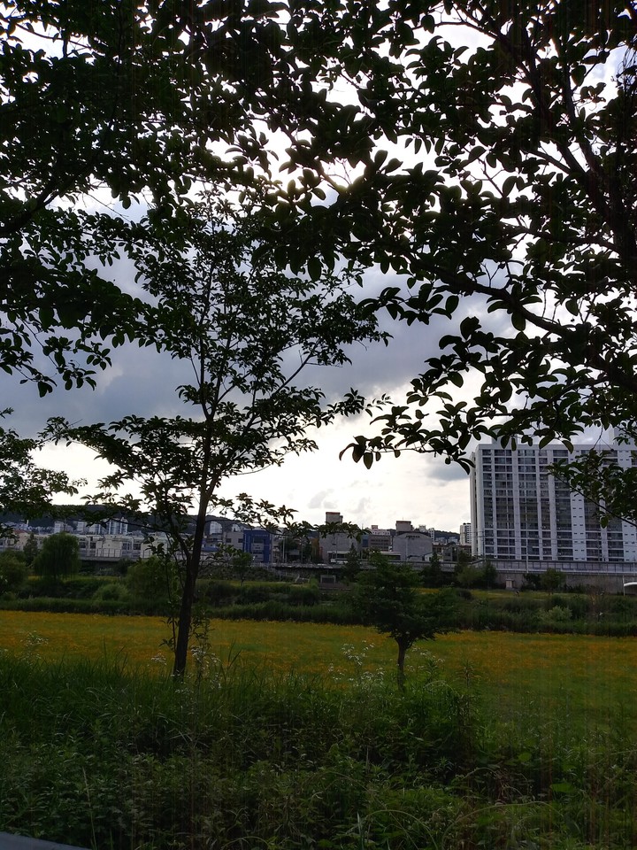 버드네 풍경