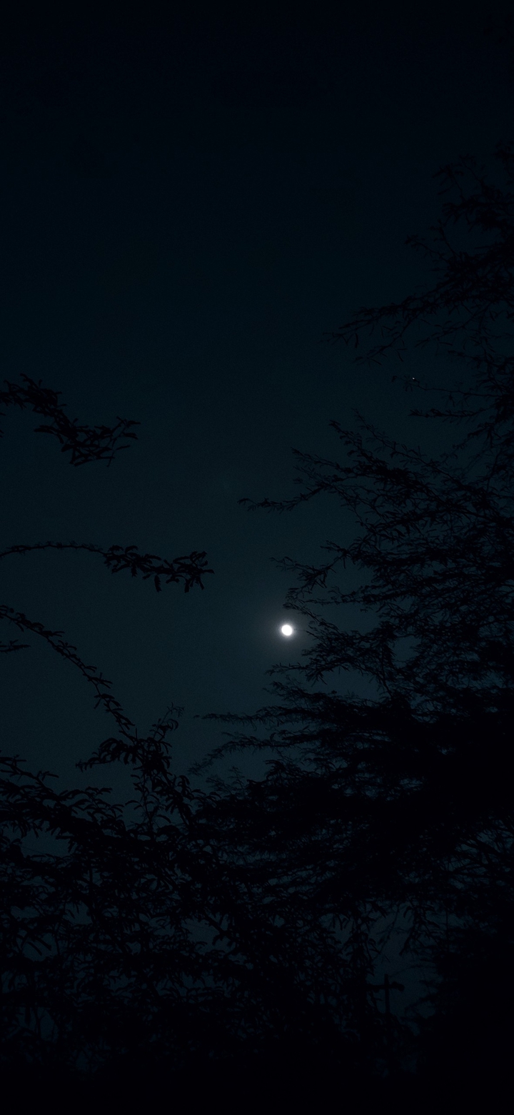 moon ?