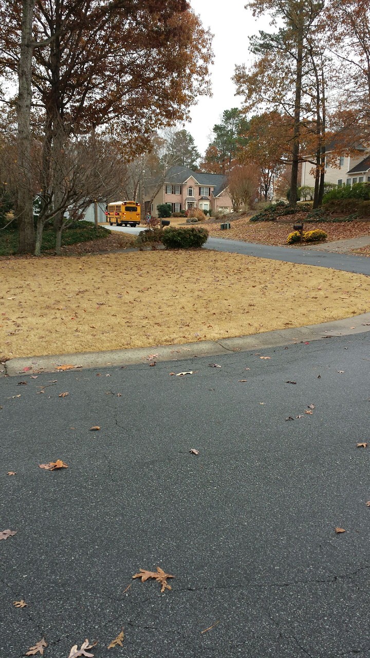 seasonal school bus