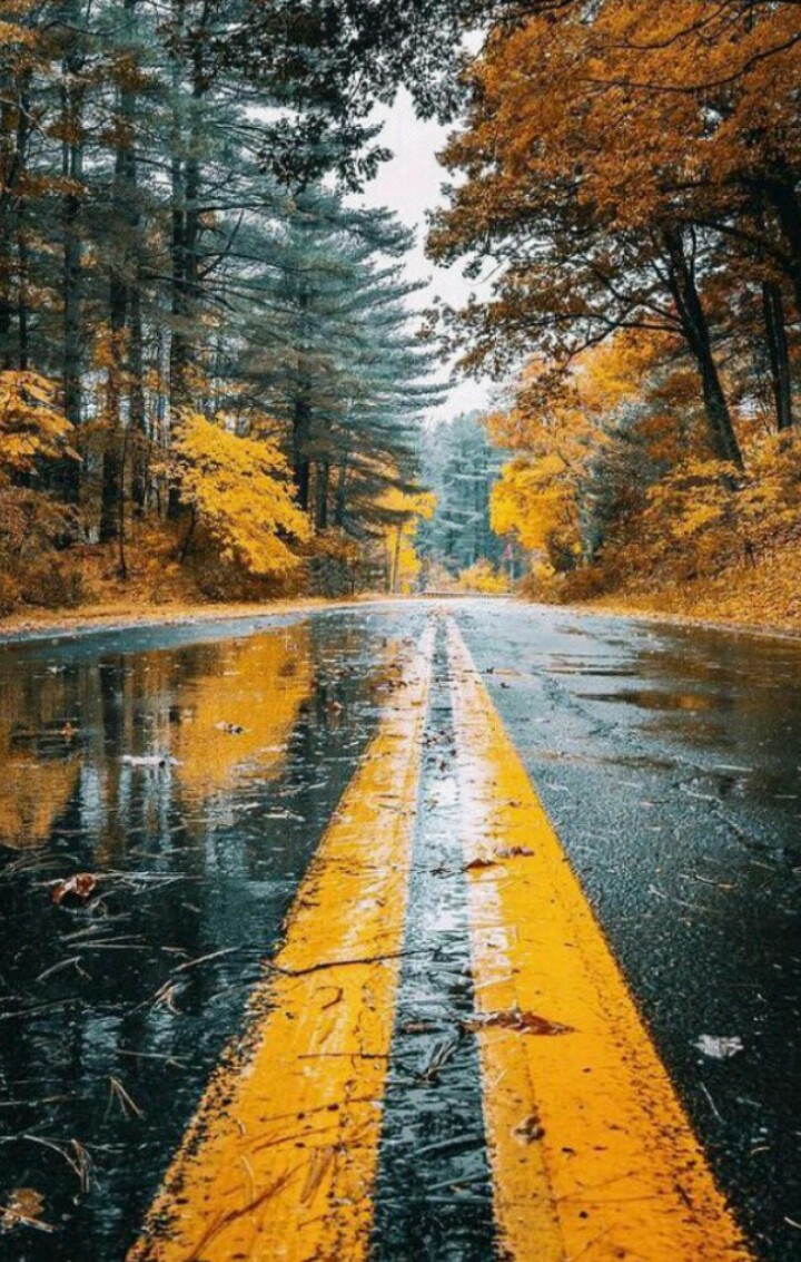 fall