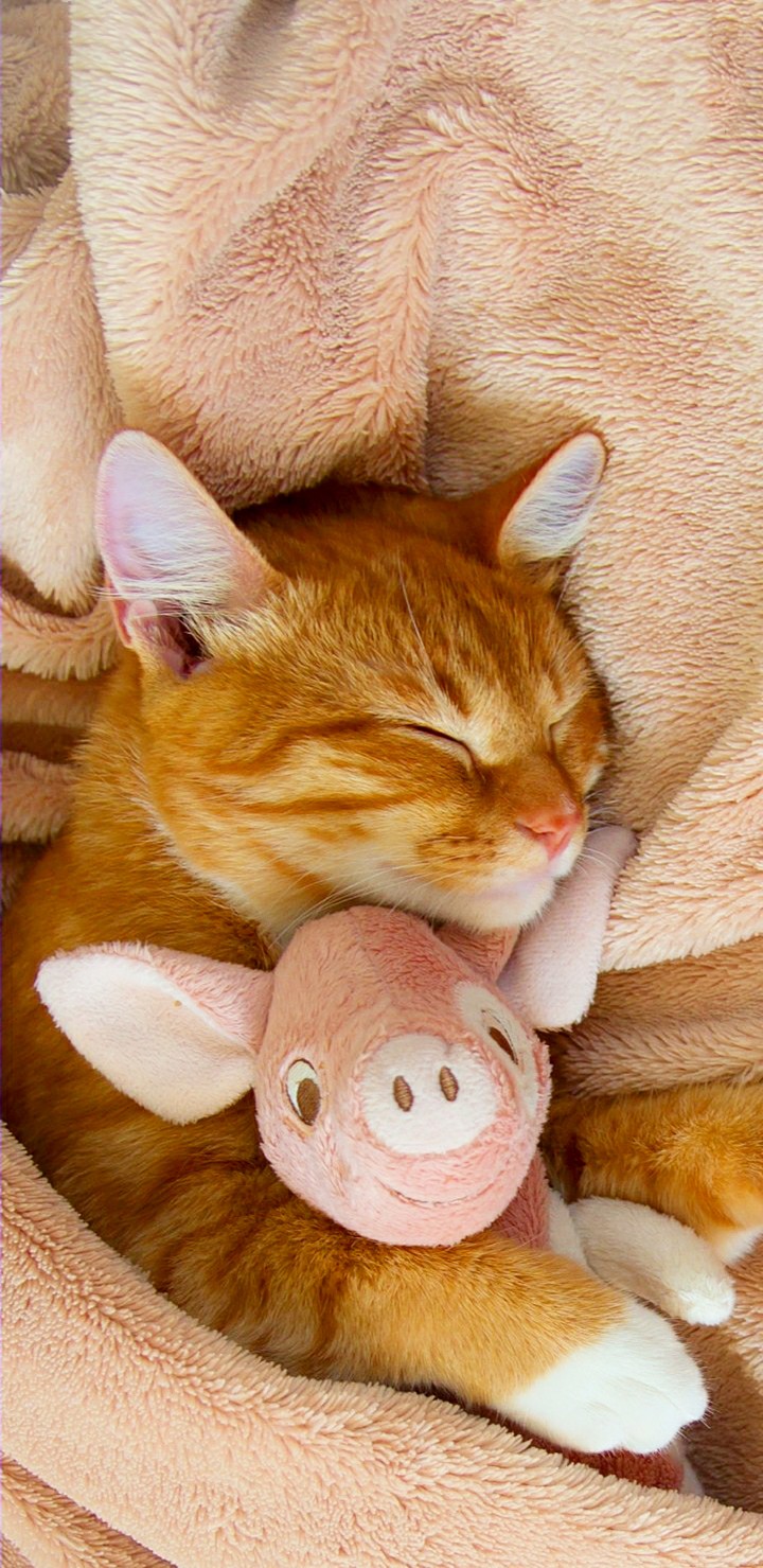 Sleeping??