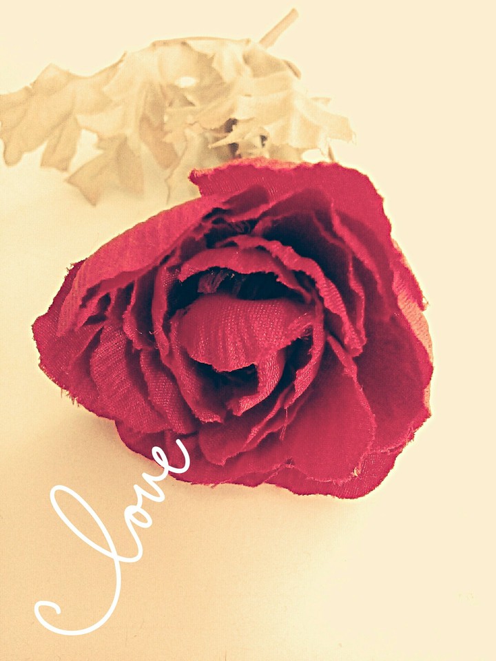 Love is in the air.....