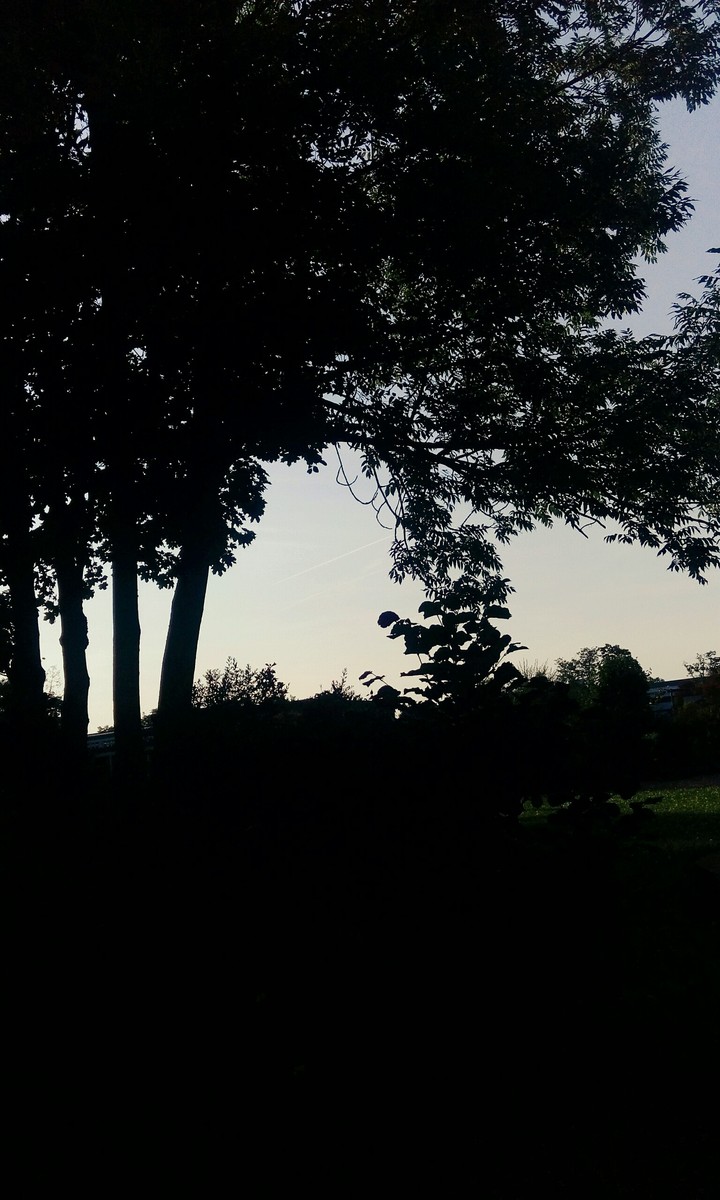 evening