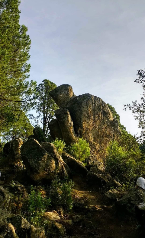 tortugas de piedra