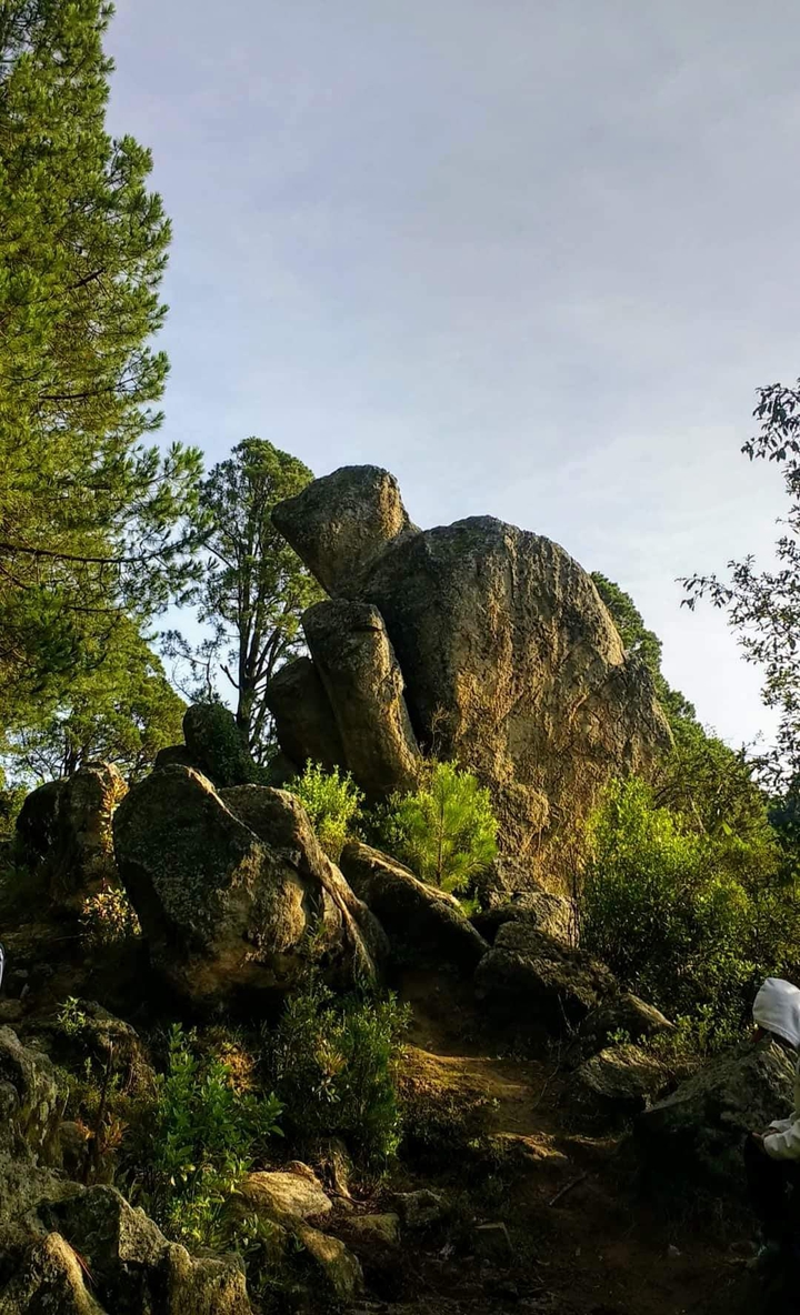 tortugas de piedra