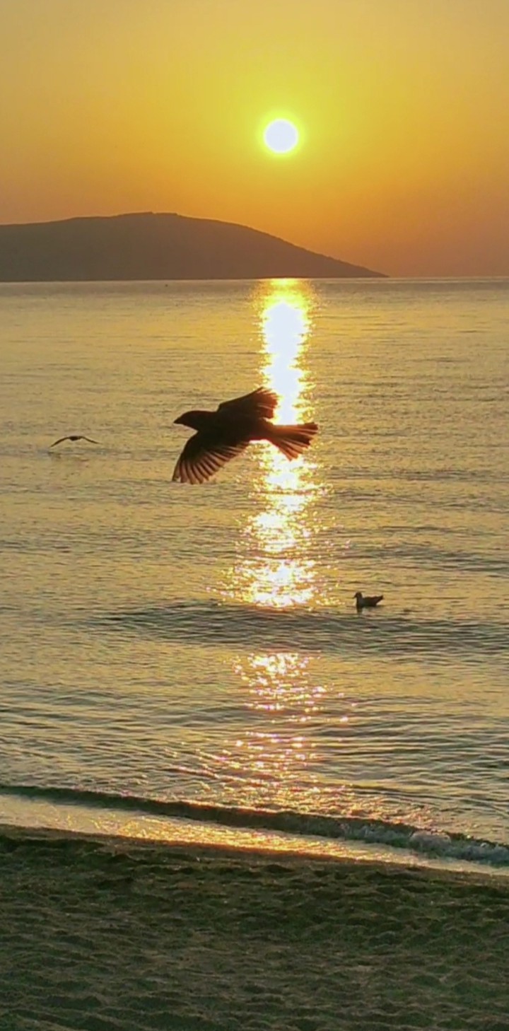sinop gün doğuşu
