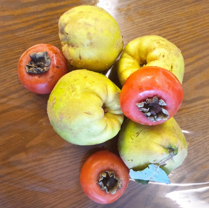 fruit s