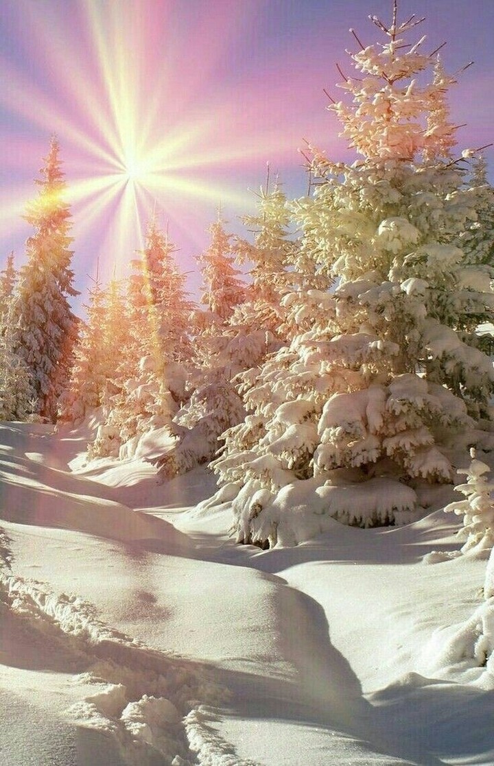 Festive afternoon