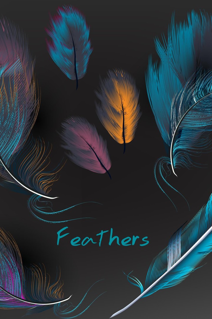 feathers