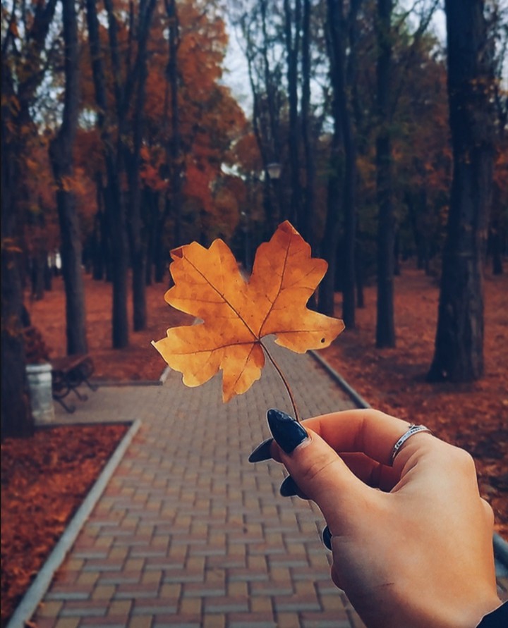 осень