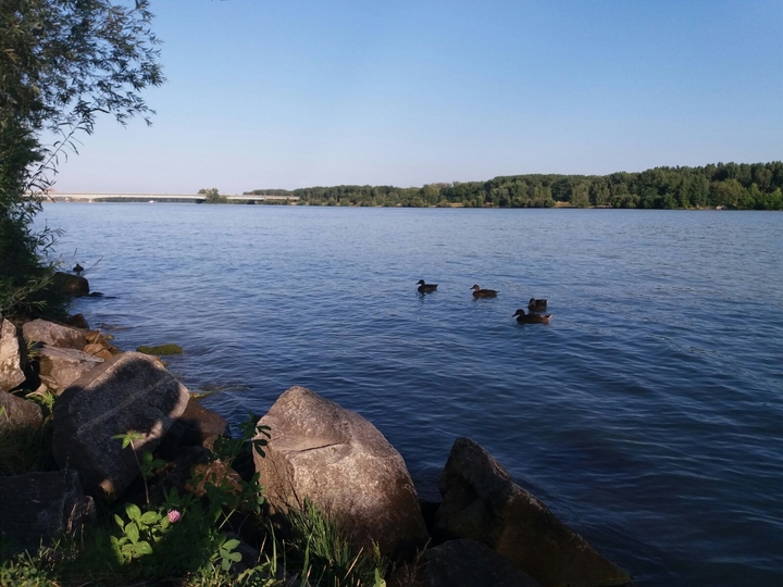 Lake