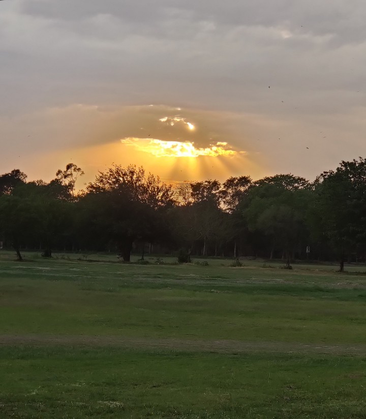 sunset