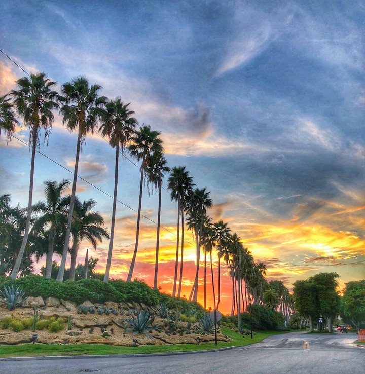 Miami Sunset