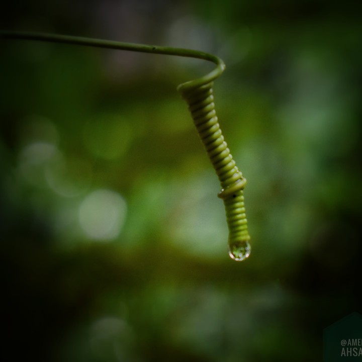 water drop