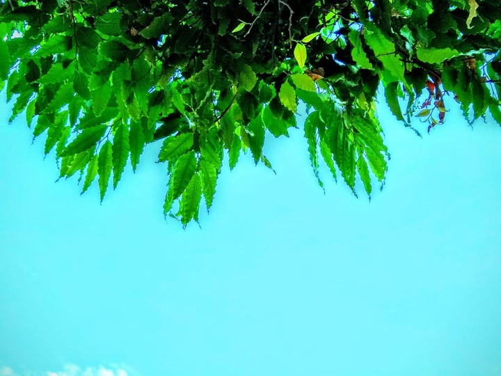 Sky