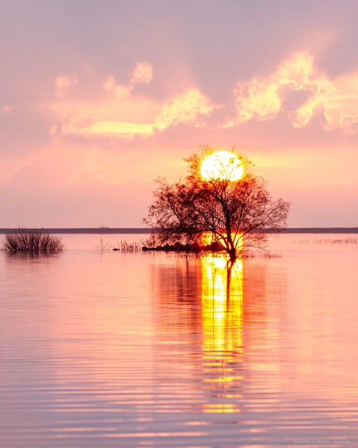 beautiful sunset