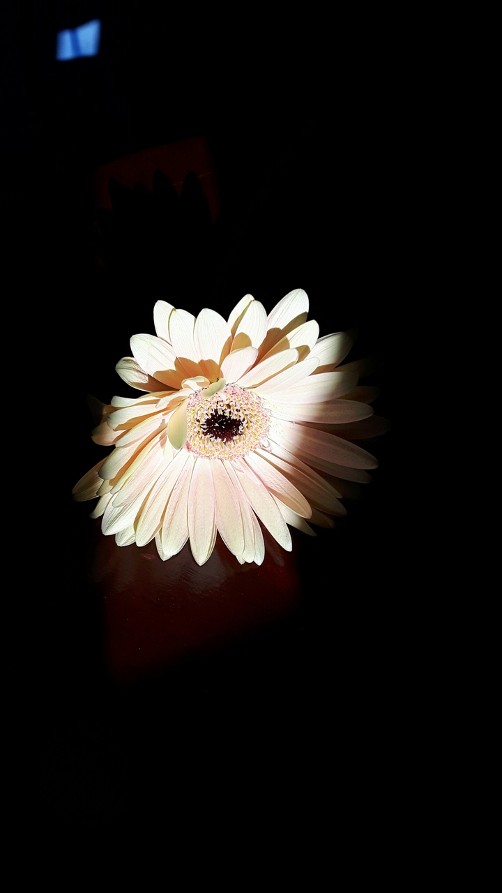 Hidden