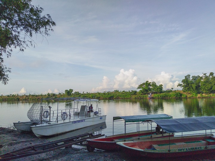 morning view