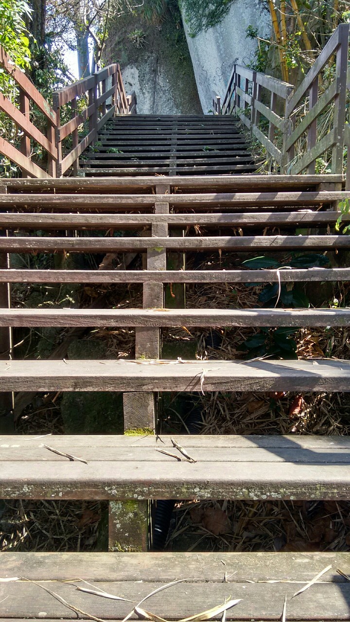 Ladder