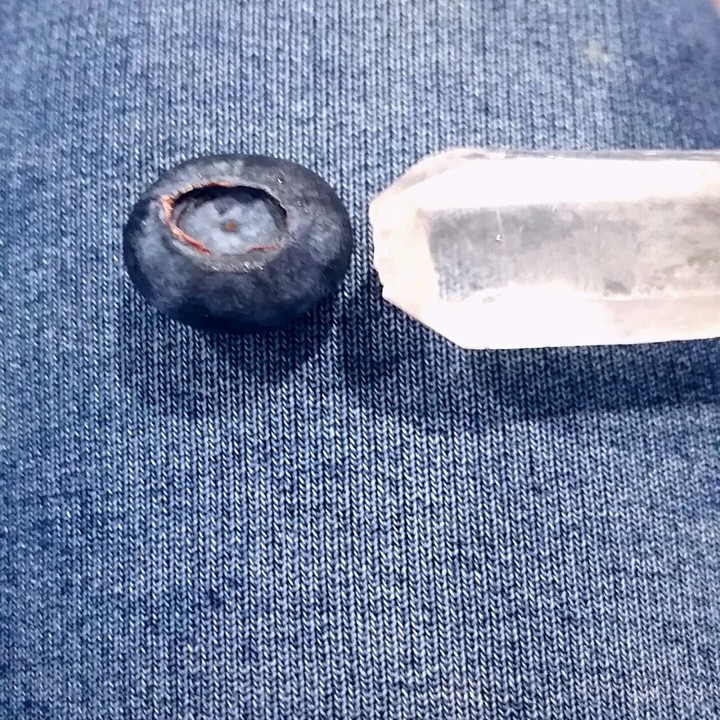 blueberry cristal