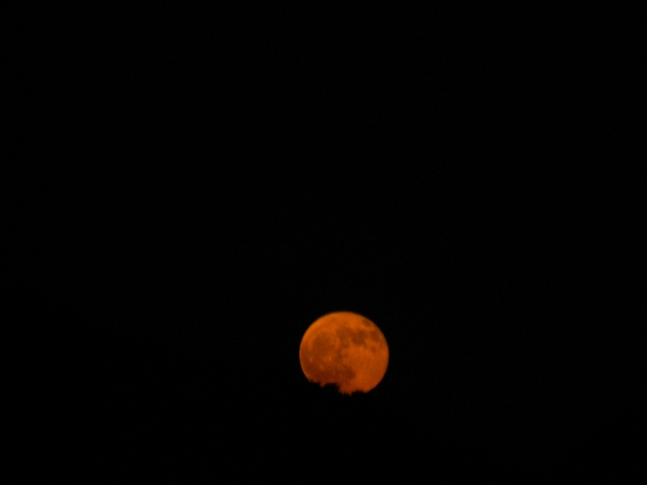 Red Moon