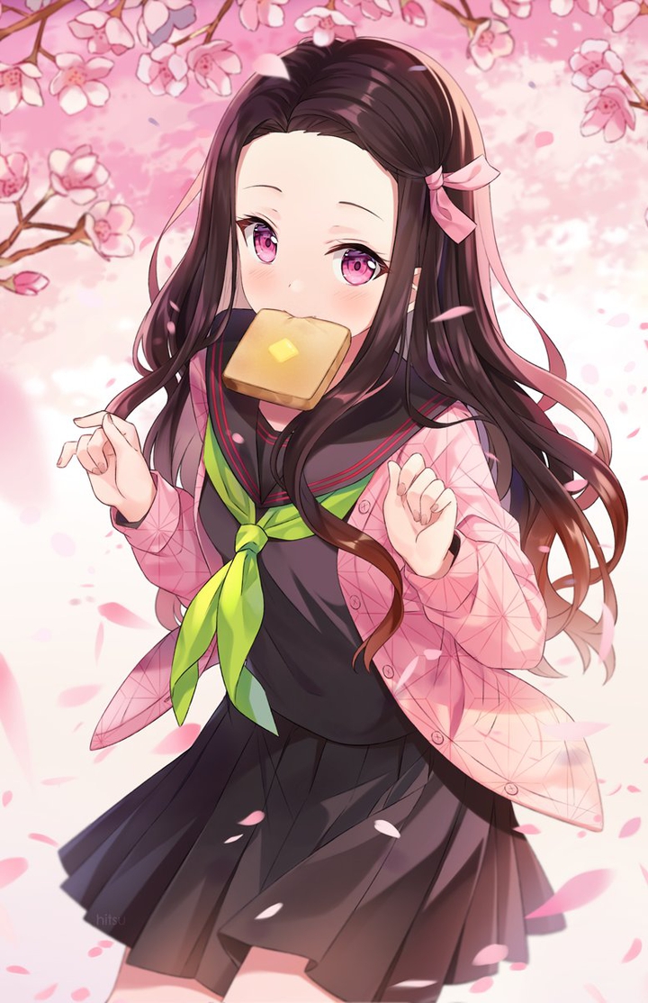 Nesuko *Humana* (Demon Slayer)