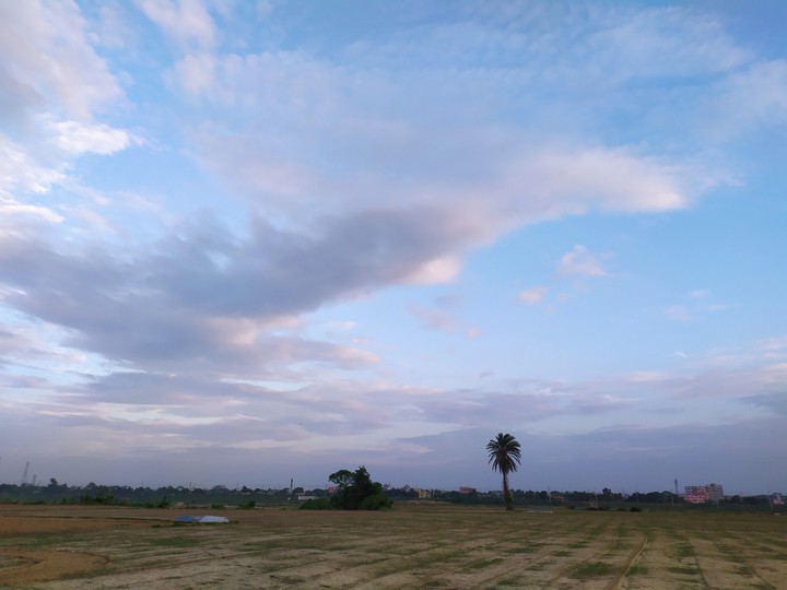 evening sky