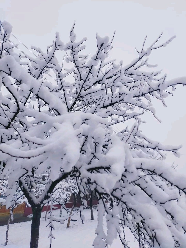 winter