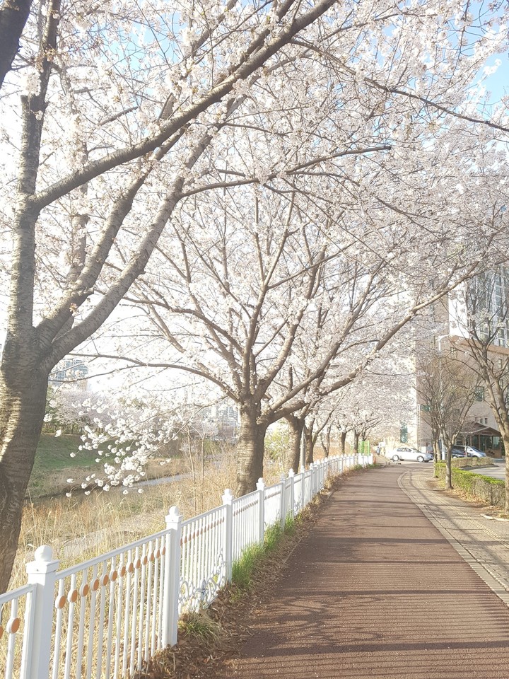 봄