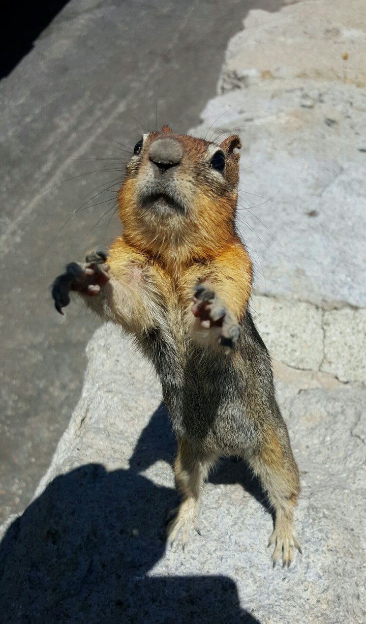 My Best Photo Ever