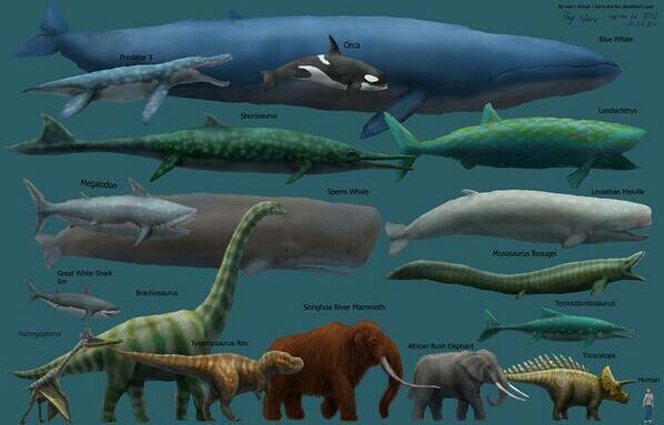 prehistoric
