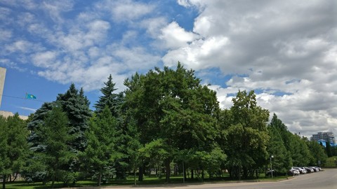 summer