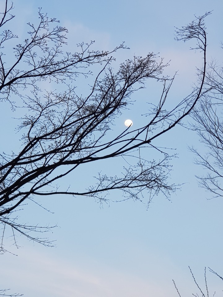 Moon