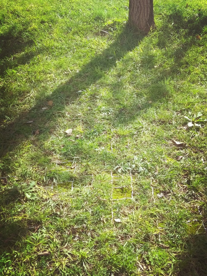 Spring on Winter
