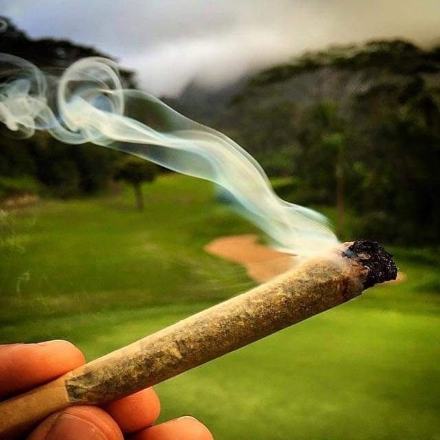 weed