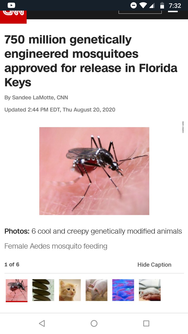 gene engineered mosquitoes, leeches, cats, swines,virus,rat.