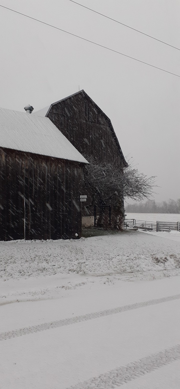 Falling Snow