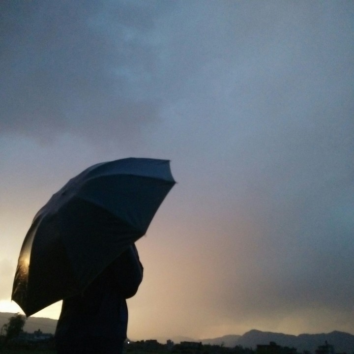 Umbrella